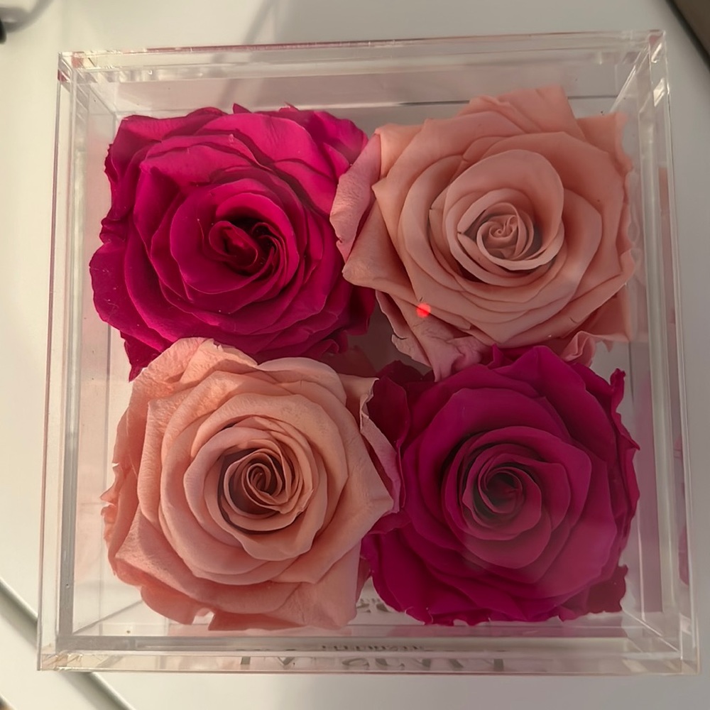 Eternal roses - Picture 1 of 4